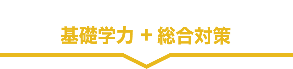 基礎から応用まで揃ったカリキュラムで着実に力をつける