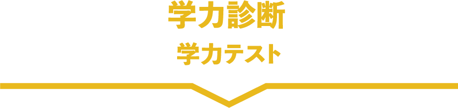 学力診断：学力テスト