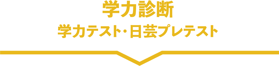 学力診断：学力テスト・日芸プレテスト