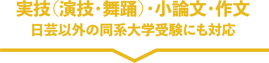 実技（演技・舞踊）・小論文・作文：日芸以外の同系大学受験にも対応